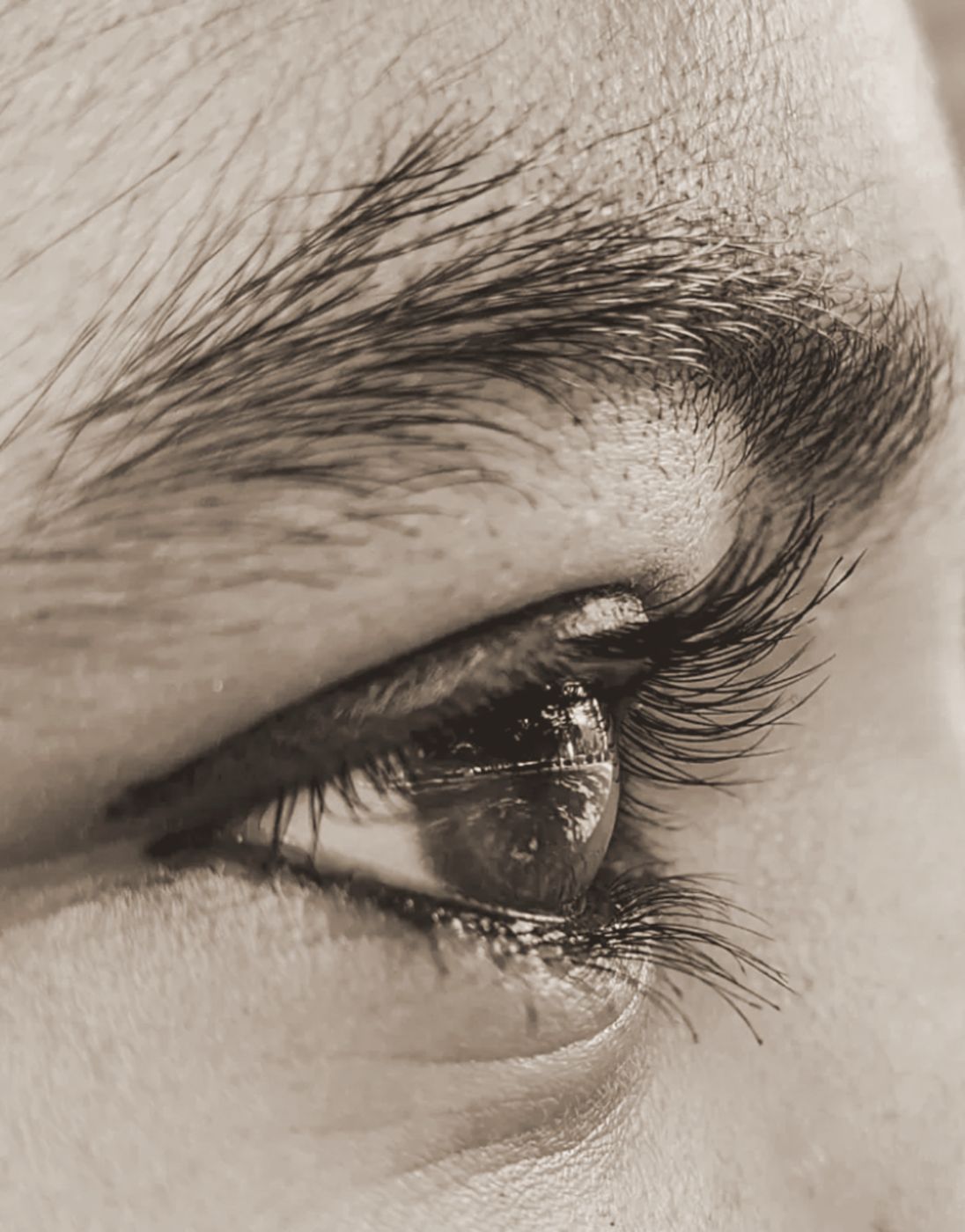 Augenpartie mit definiertem Wimpernkranz