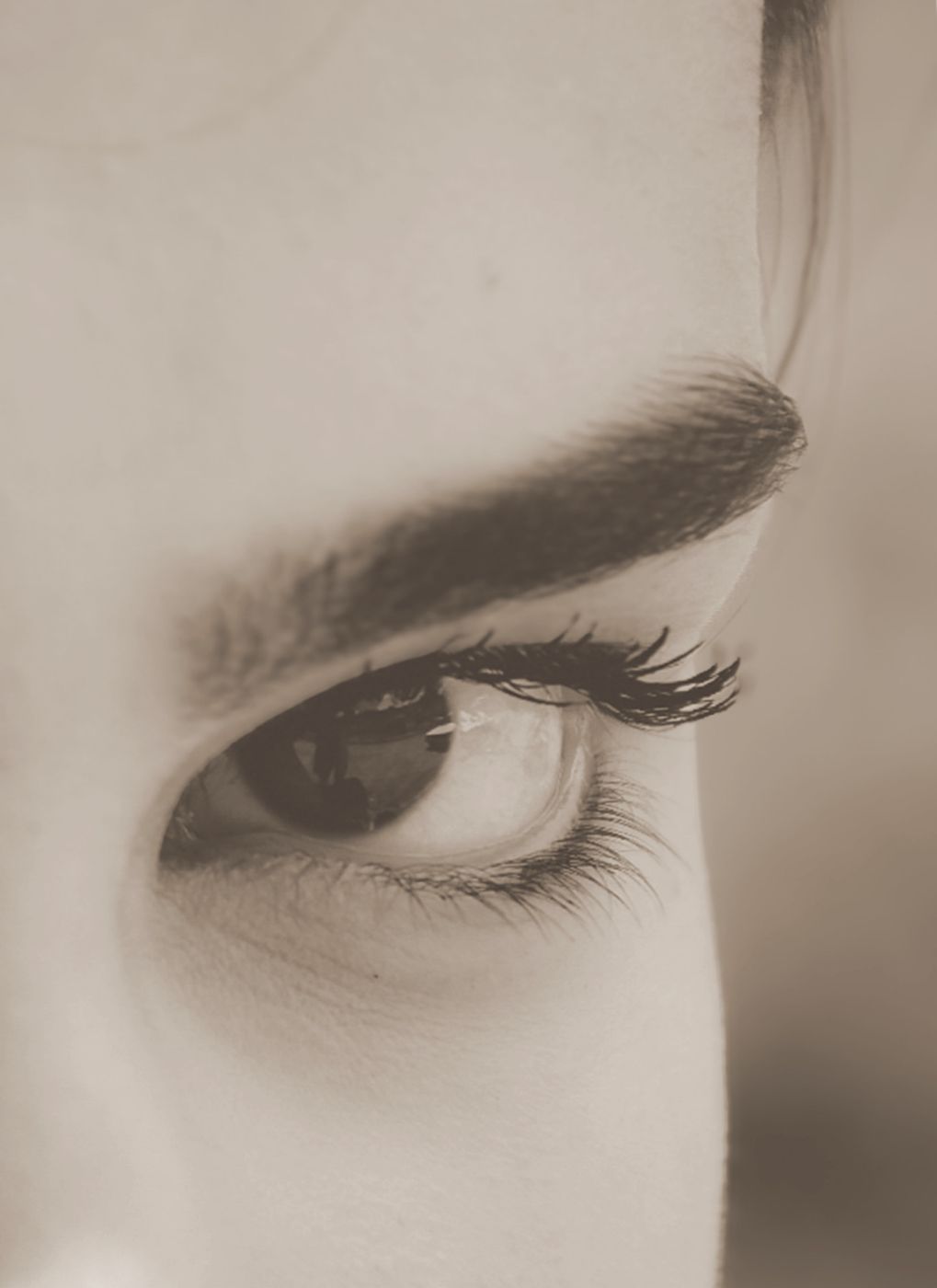 Auge mit feinem Wimpernkranz